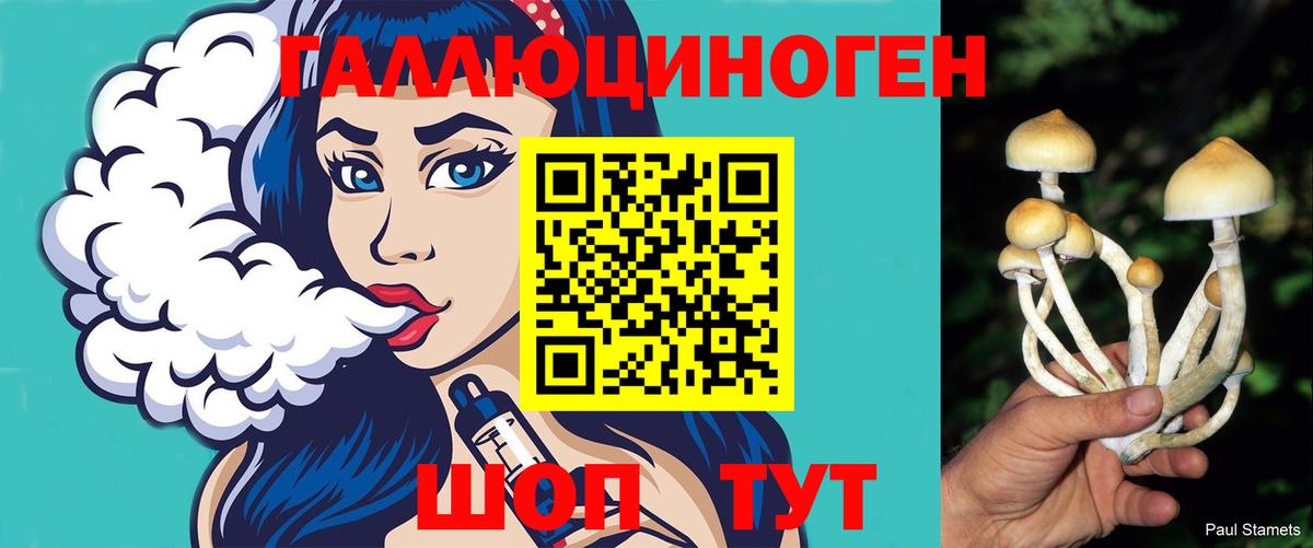 Галлюциногенные грибы ЛСД Магнитогорск